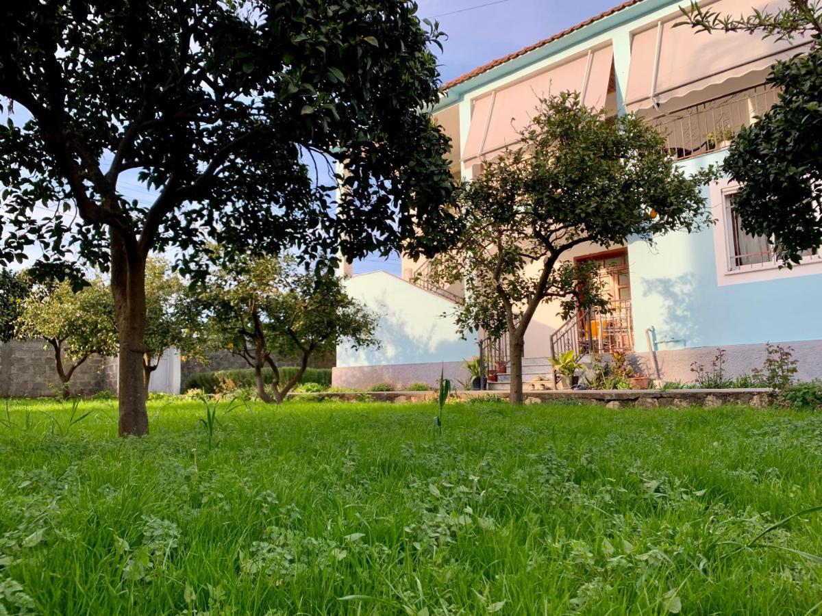 Mia Guest House - Entire Home With Balcony & Garden Divjake Ngoại thất bức ảnh